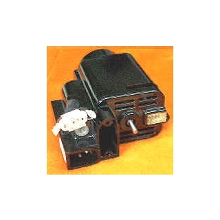 Singer Motor Unit (Rab5)